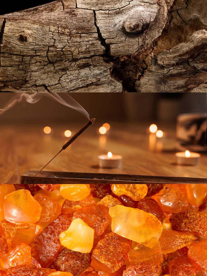 YODEYMA AMBRAX - Imagen 4