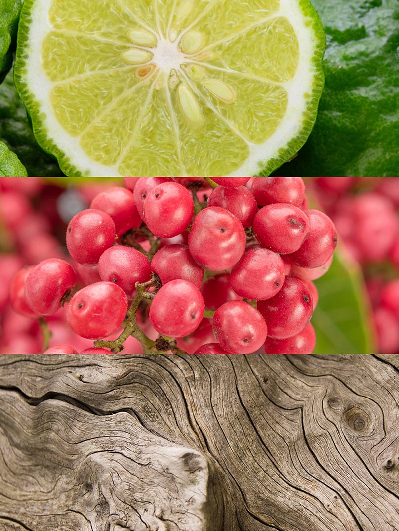 YODEYMA Caribbean - Imagen 6