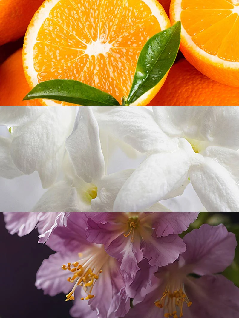 YODEYMA CHEANTE - Imagen 5