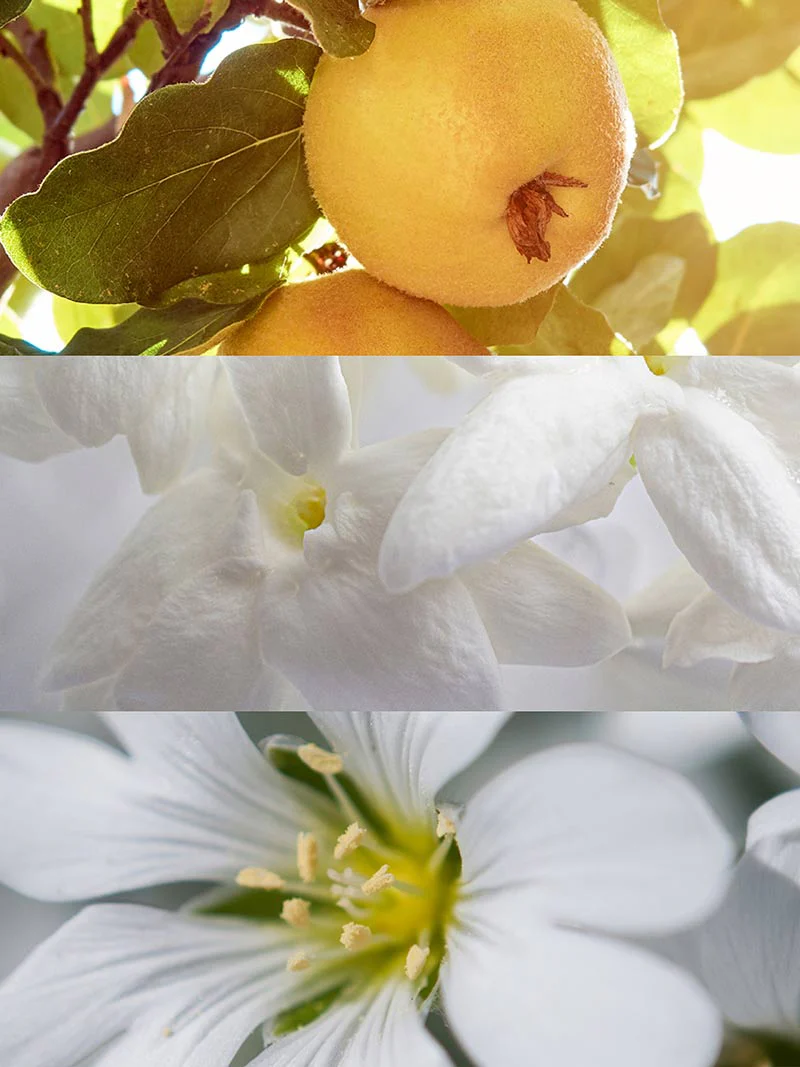 YODEYMA FOR YOU - Imagen 4