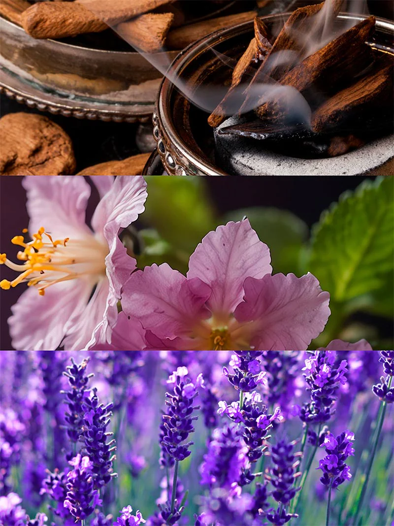 YODEYMA OUD GEM - Imagen 5