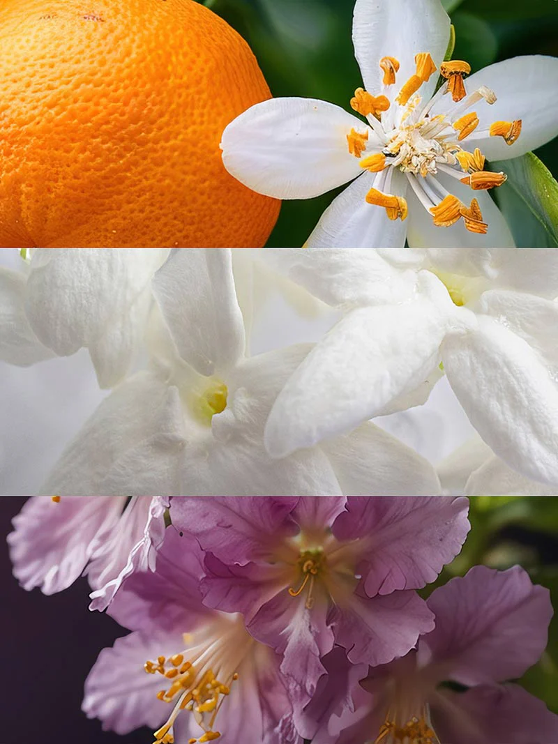 YODEYMA TENDENZE - Imagen 9