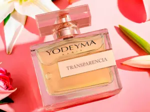 YODEYMA TRANSPARENCIA