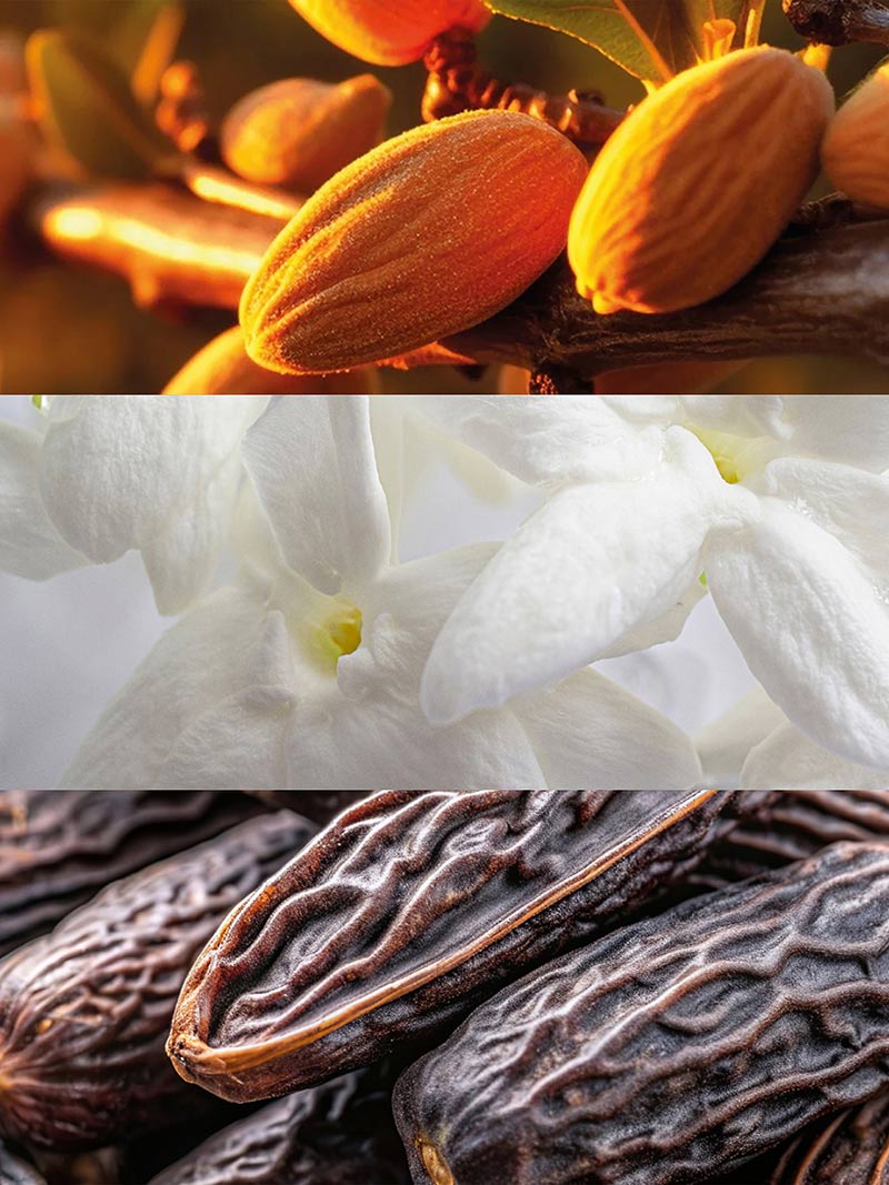 YODEYMA VERY SPECIAL - Imagen 6