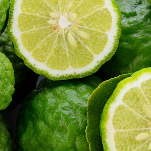 YODEYMA TENDENZE - Imagen 3