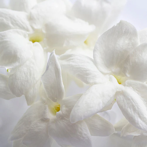 YODEYMA CHEANTE - Imagen 6