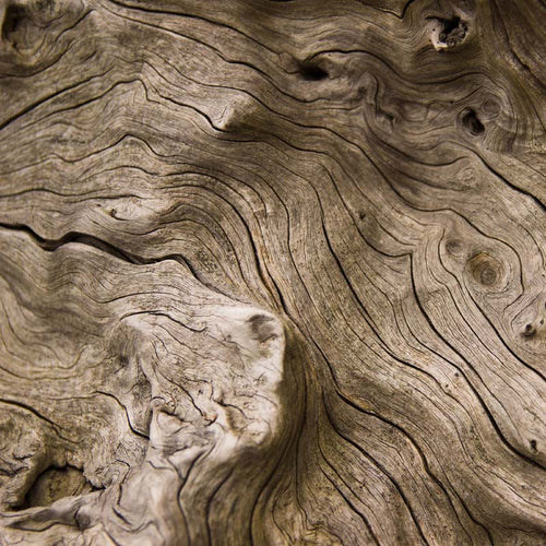 YODEYMA Caribbean - Imagen 7